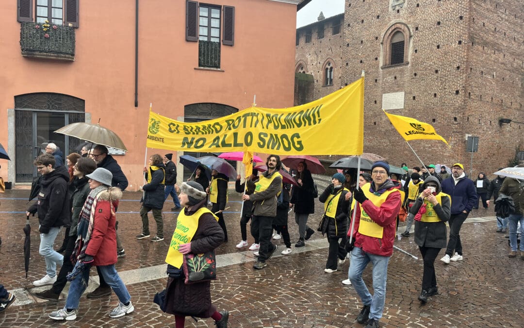 rotti polmoni smog manifestazione